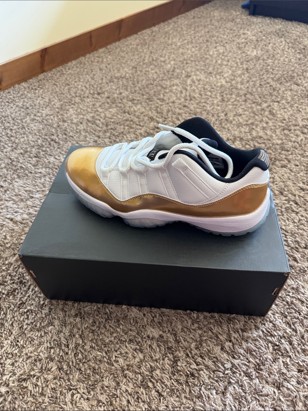 Jordan Men's Low-Top Athletic Shoes in White and Gold
